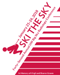 Big Sky Conference logo
