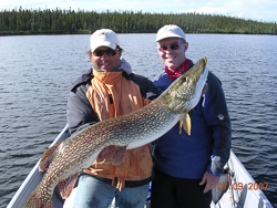 fish picture