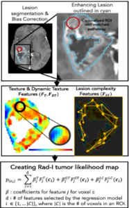 Figure 7: Workflow for computing Rad-I map by combining voxel-wise texture, dynamic texture radiomic with lesion complexity features.