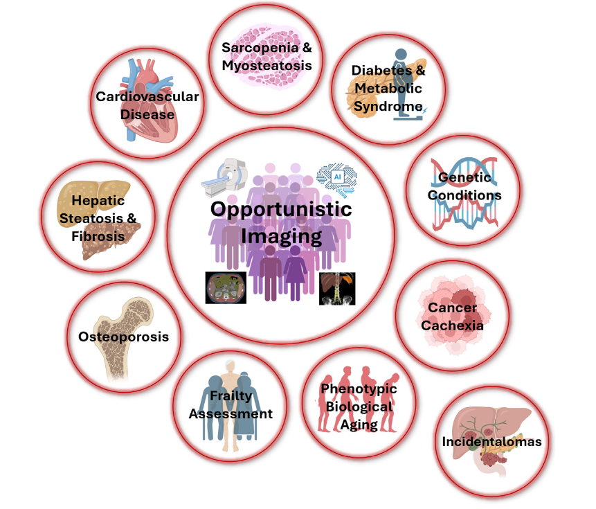 Value-added opportunistic CT screening. Schematic illustrates the many potential facets related to harnessing incidental CT imaging data for patient benefit.