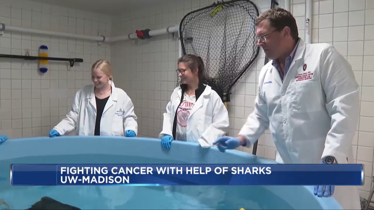 Two people standing around a pool with sharks in it.